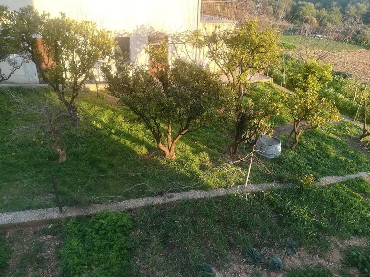 Apartments Barisic Hrvatskih Zrtava 404 Seget Vranjica โตรกีร์ ภายนอก รูปภาพ